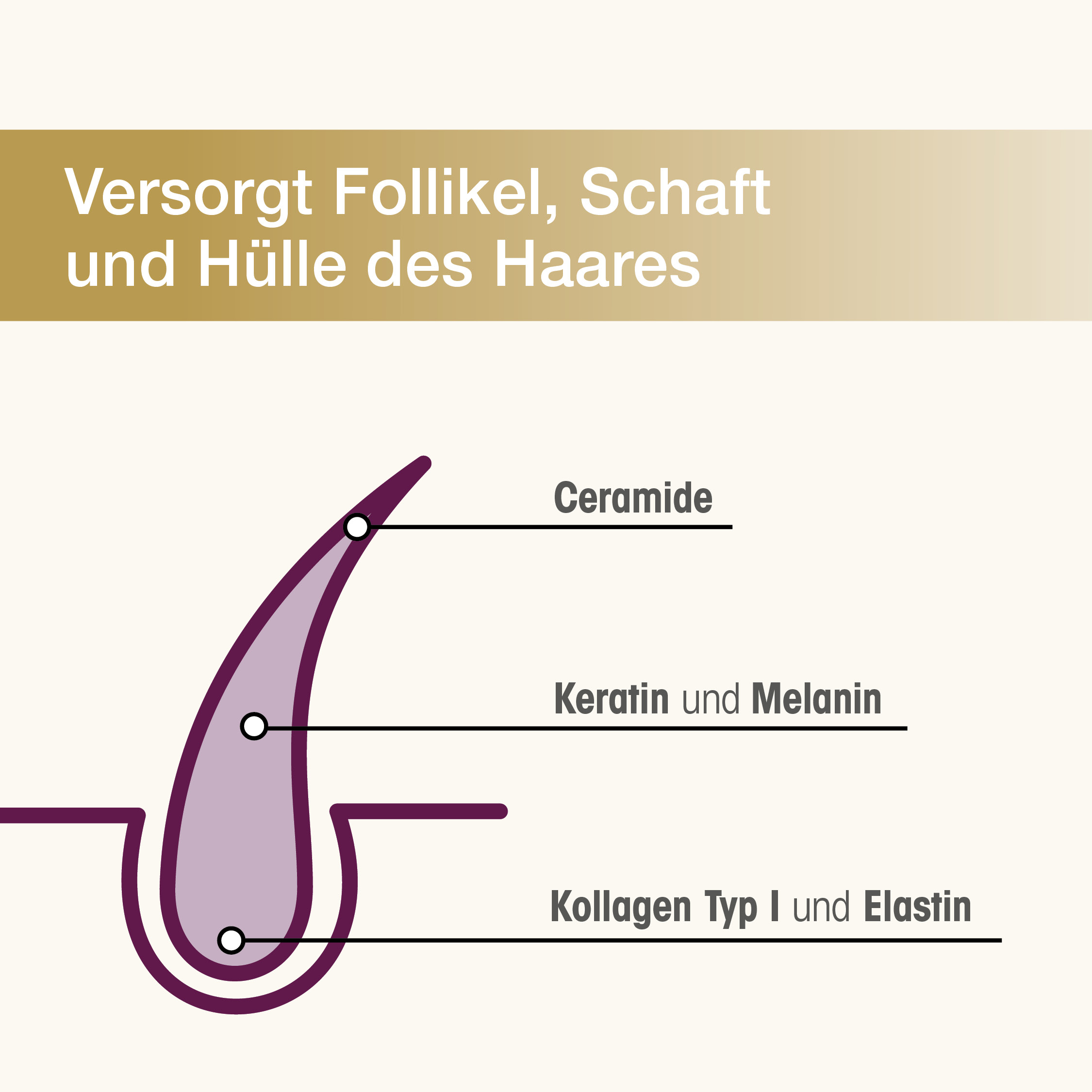 Dr. Böhm Haarstruktur Premium Wirkkomplex