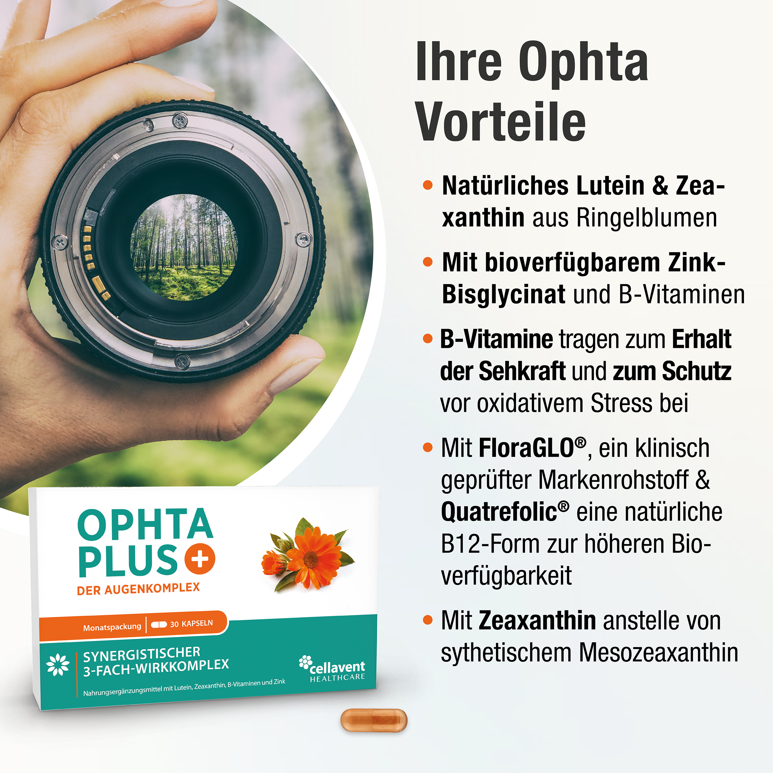 Augenvitamine – Augenkomplex der Carotinoide Lutein & Zeaxanthin, B-Vitamine und Zink – 30 Kapseln
