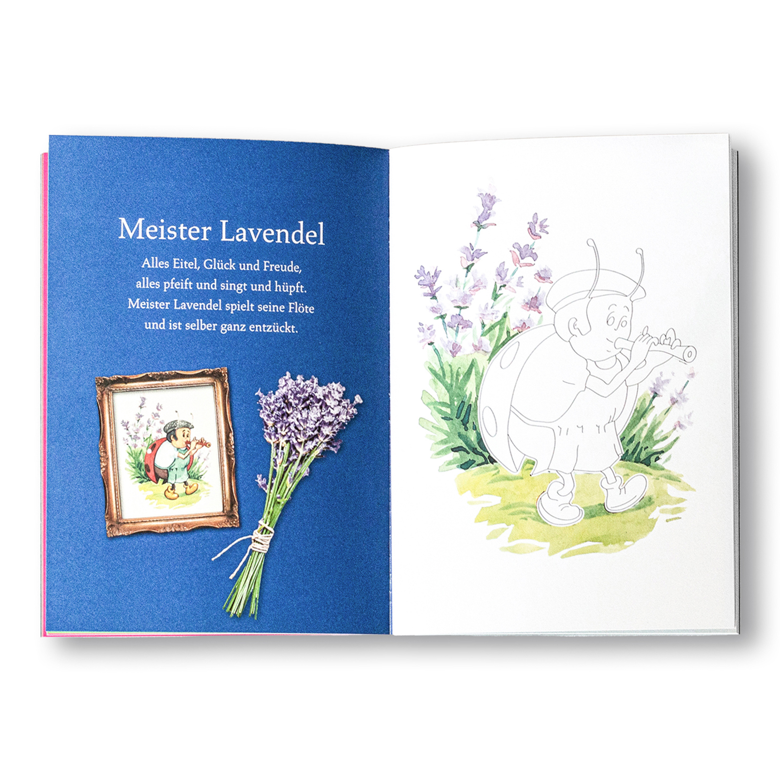 AUBERG Malbuch