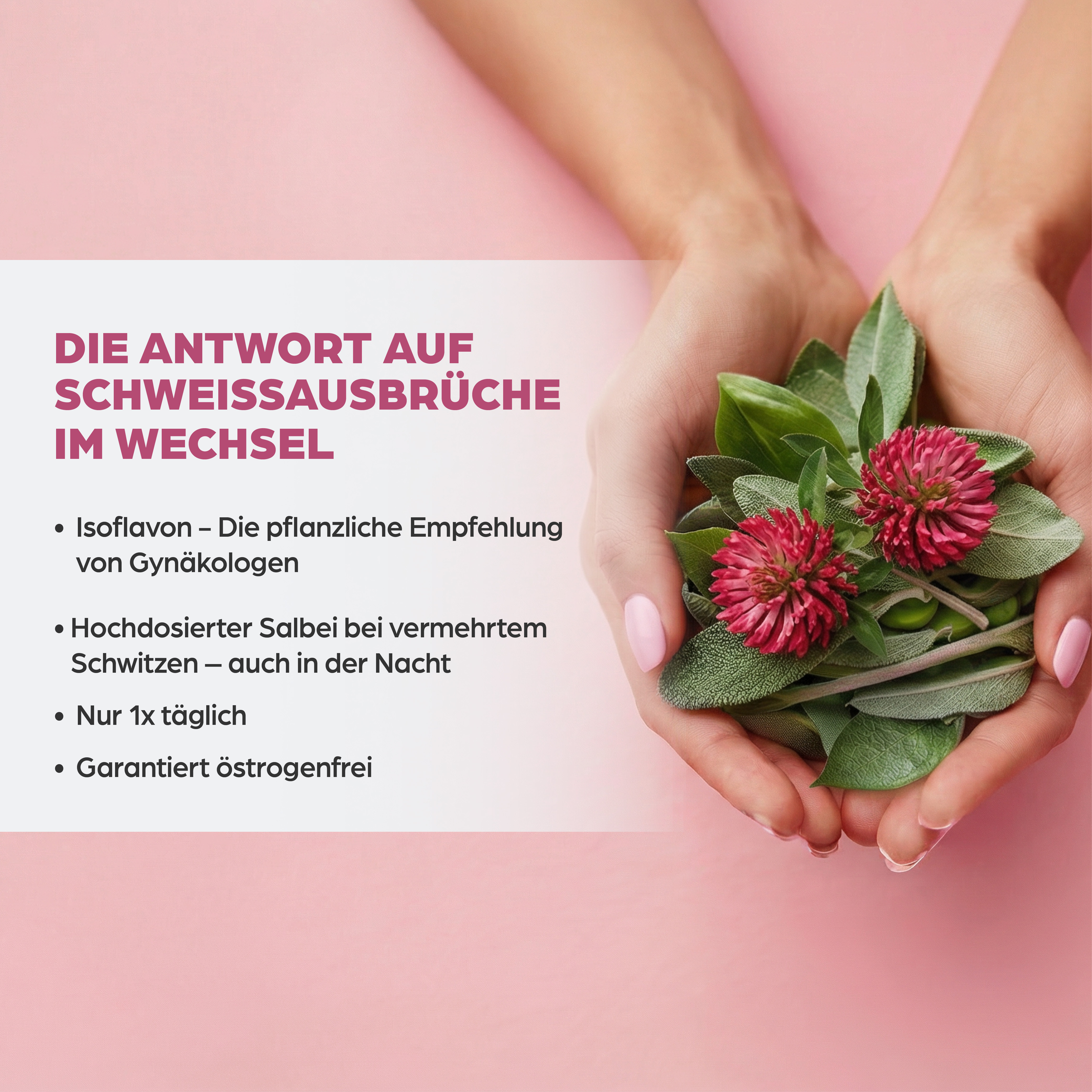 Dr. Böhm® Isoflavon + Salbei